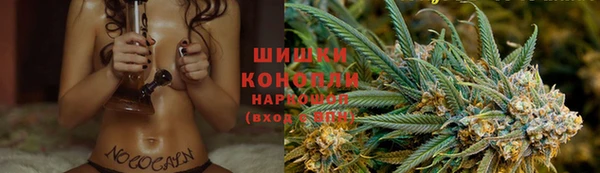 СК Дмитров