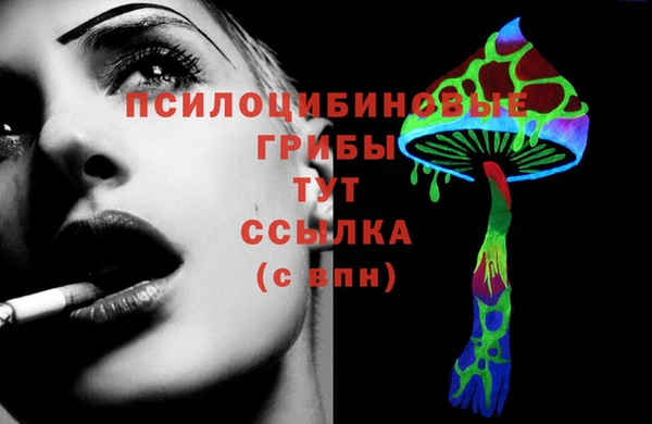 сатива Гусев
