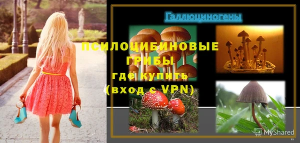 СК Дмитров