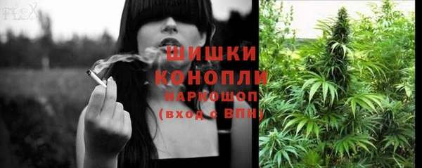сатива Гусев
