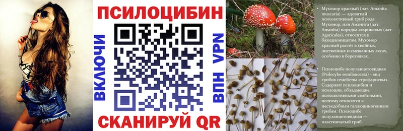 Галлюциногенные грибы GOLDEN TEACHER  Купить  Каменск-Шахтинский 